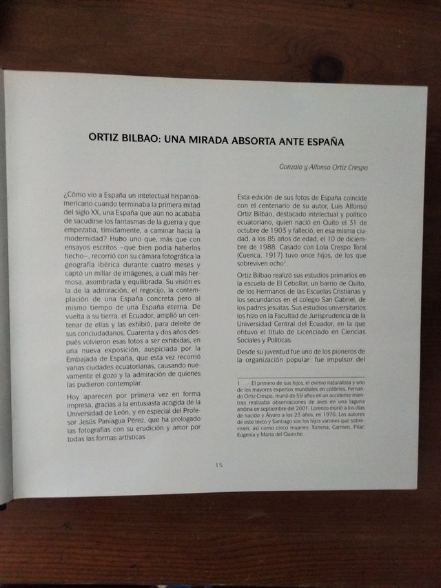 Una mirada absorta ante España