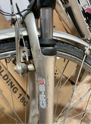 Bicicleta de paseo
