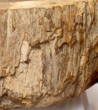 Lavabo de Madera Petrificada