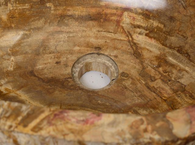 Lavabo de Madera Petrificada