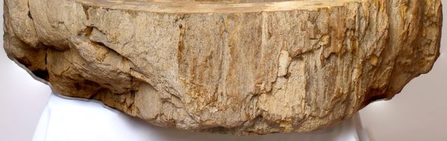 Lavabo de Madera Petrificada