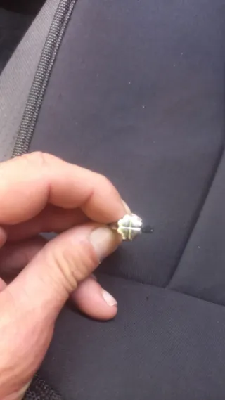Anillo Moschino Plata