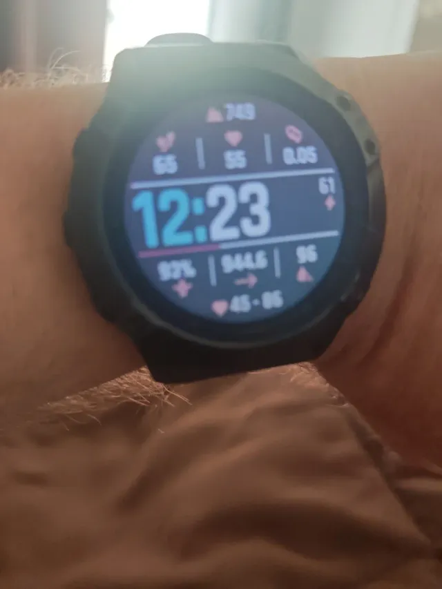 Garmin Fenix 6X Pro - Negro