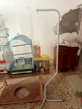 Jaula para pájaros y accesorios