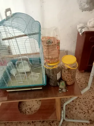 Jaula para pájaros y accesorios