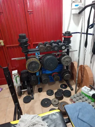 Material gimnasio: pesas y barras