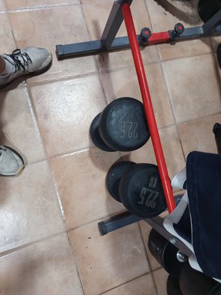 Material gimnasio: pesas y barras