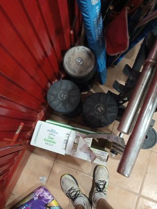Material gimnasio: pesas y barras