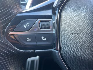 Peugeot 3008 2.0BLUEHDI 133KW (180CV) GT AUTO S&S