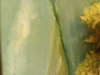 Cuadro paisaje rural con casas