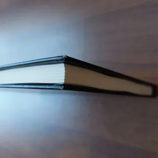 Libro hombres lobo y Ángel caído. 1° edición.