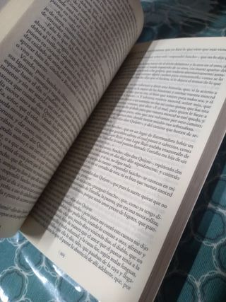 El ingenioso hidalgo don quijote de la mancha II