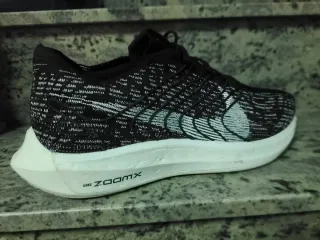Nike Pegasus Plus Nature Zapatillas Running