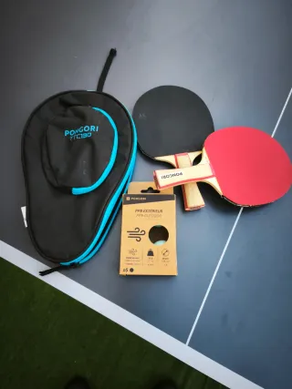 Mesa de ping pong plegable