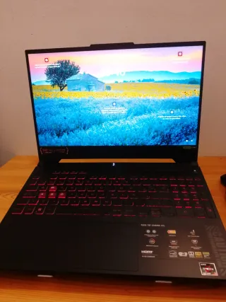 Portátil Asus TUF Gaming A15 RTX 4060