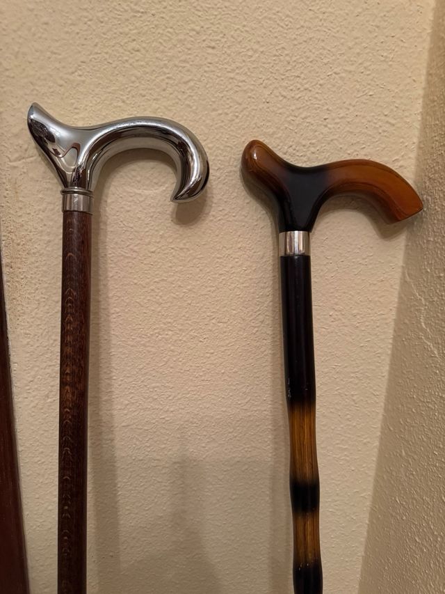 Bastones elegantes nuevos