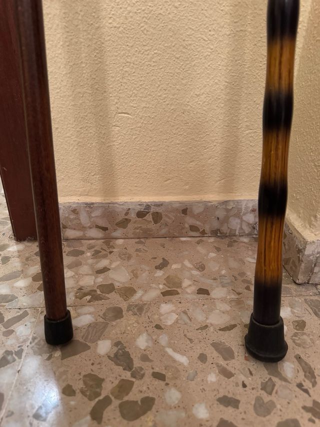 Bastones elegantes nuevos