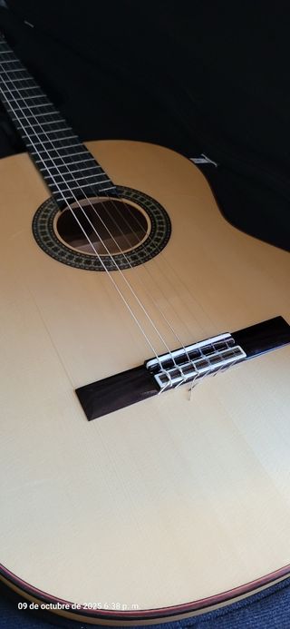 Guitarra Flamenca Paco Castillo 214F