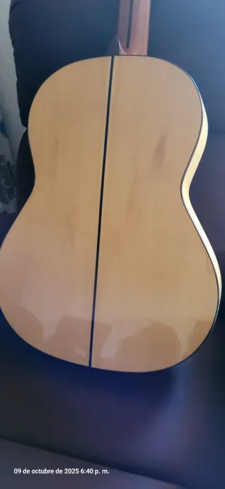 Guitarra Flamenca Paco Castillo 214F