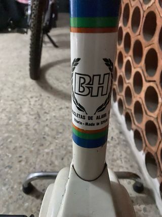 Bicicleta Estática BH Vibrocycle