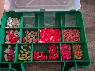 Bollas para pescar 