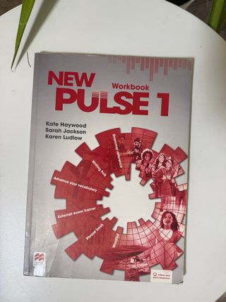 NEW PULSE 1 Sb Pk 2019