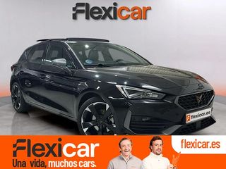 Cupra León SP 1.5 eTSI 110kW (150CV) DSG