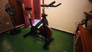 Bicicleta Estatica ProForm