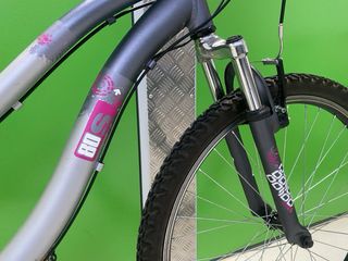 Bicicleta Montaña Gris y Rosa