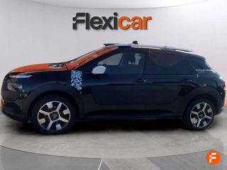 Citroën C4 Cactus BlueHDi 100 Rip Curl