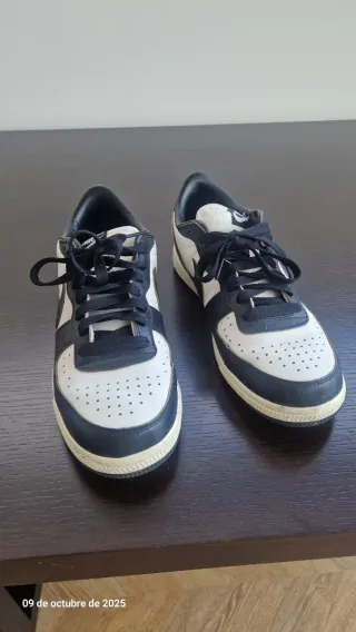 Zapatillas Nike Terminator Low