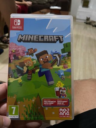 Minecraft Nintendo Switch