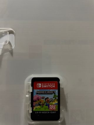 Minecraft Nintendo Switch