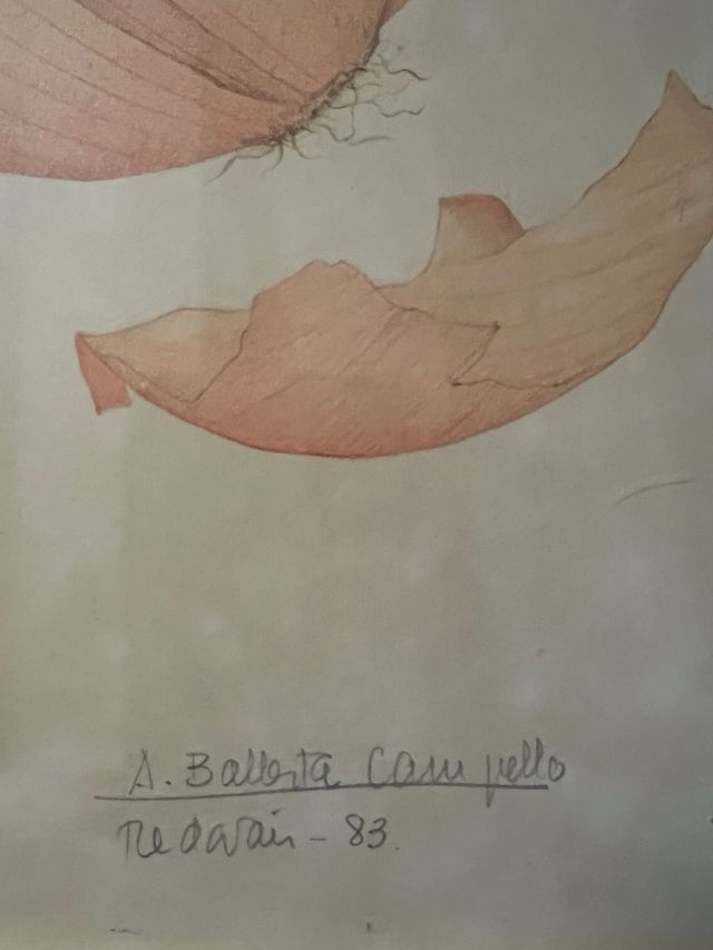 Obra Original A. Ballesta Campello, 1983