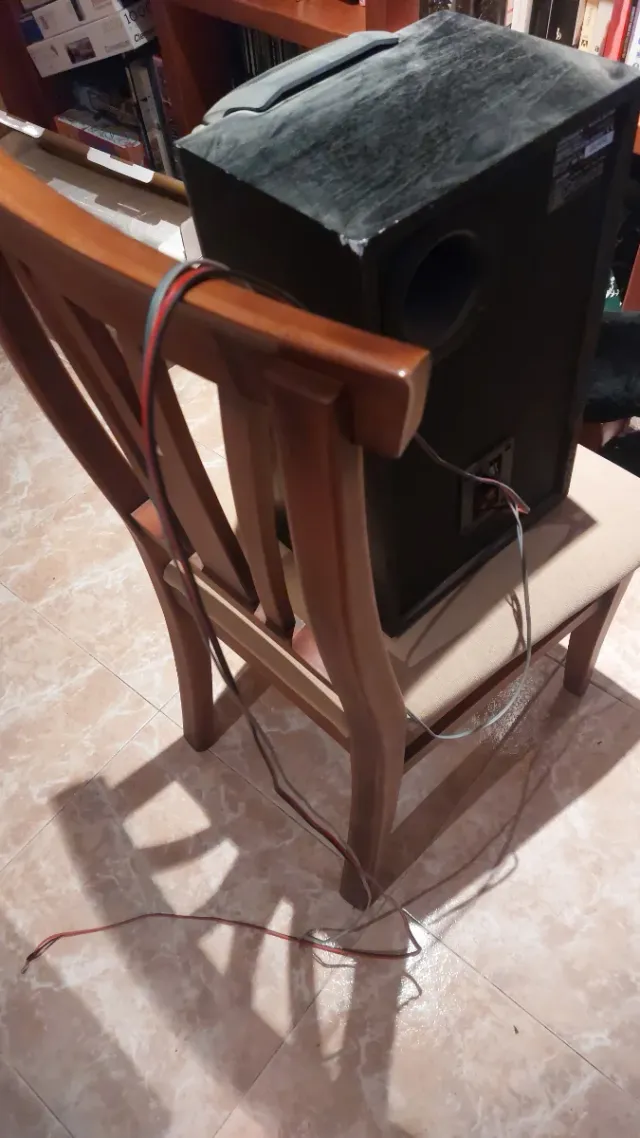 Altavoz Technics Negro