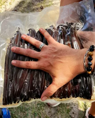 VAINILLA DE MADAGASCAR EXTRA