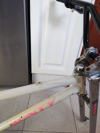 Bicicleta Monty Trial T-217