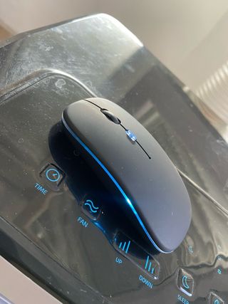 Ratón inalámbrico recargable 