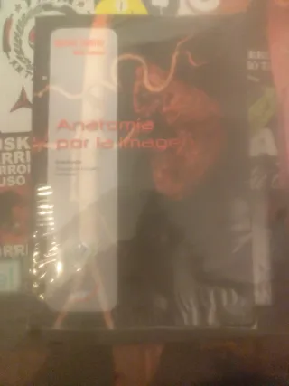 Anatomía por la imagen (Spanish Edition)