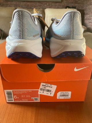 Zapatillas Nike Pegasus 41 