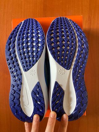 Zapatillas Nike Pegasus 41 