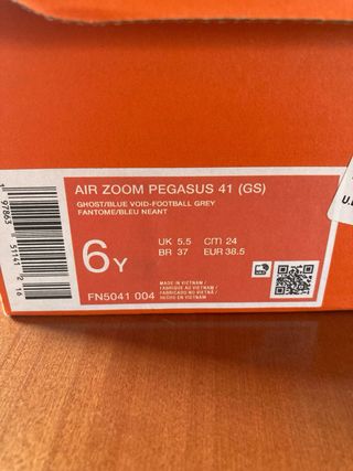 Zapatillas Nike Pegasus 41 