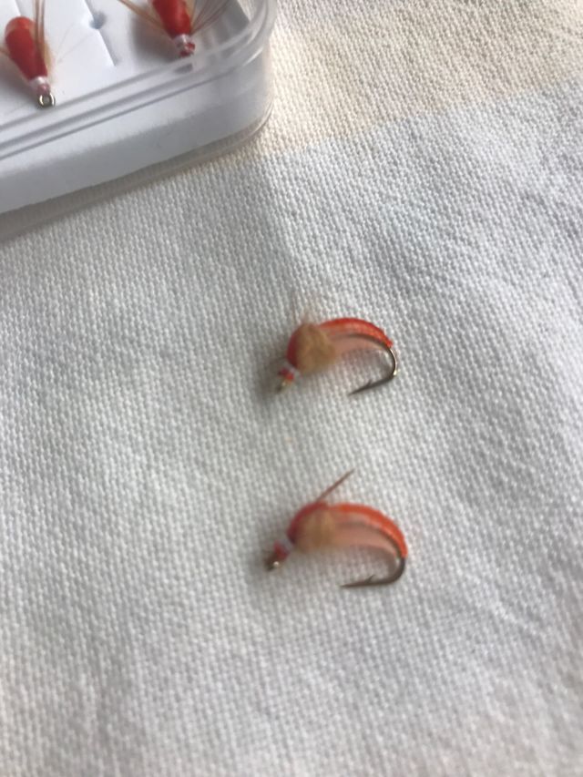 6 Moscas Perdigones Ninfa Trucha