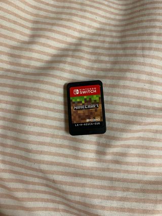 Minecraft Nintendo Switch