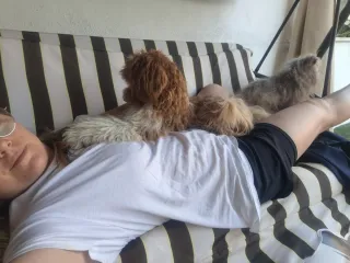 Cuidado de mascotas en ambiente familiar.