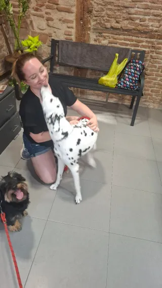 Cuidado de mascotas en ambiente familiar.