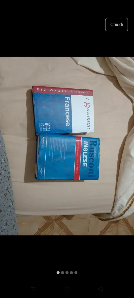 Vendo dizionari lingua inglese e francese