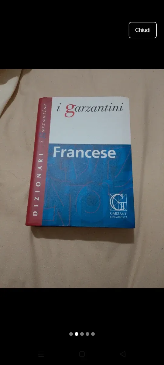 Vendo dizionari lingua inglese e francese