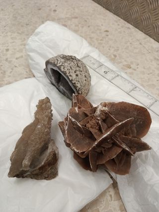 Piedras Fósiles Geoda y Rosa del Desierto