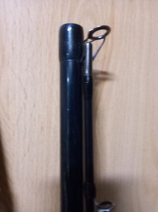 Caña para pescar siluro y grandes depredadores